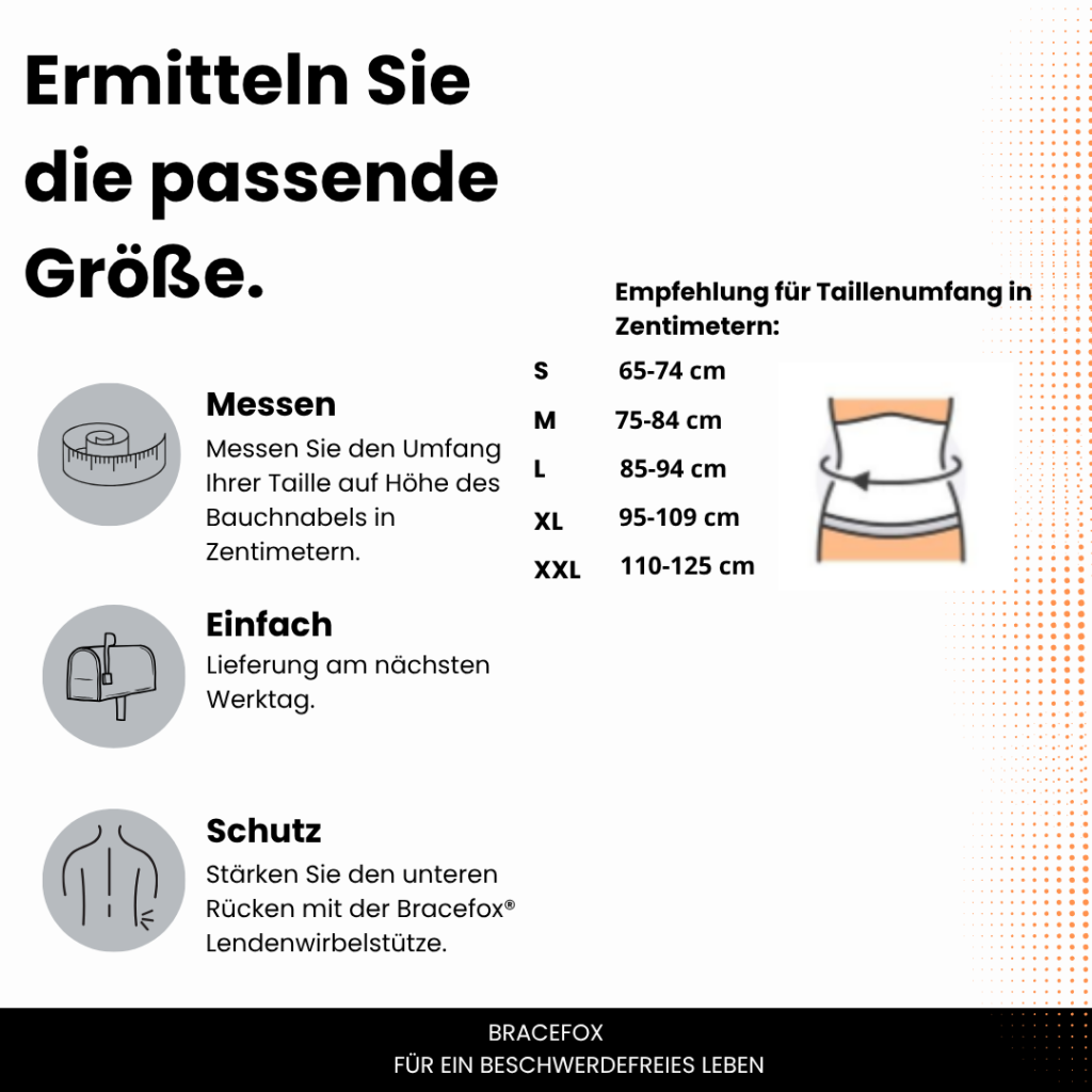 Bracefox Rueckenstuetzguertel ErgoBack